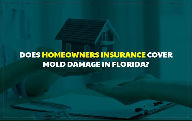  Does Homeowners Insurance Cover Mold Damage in Florida?